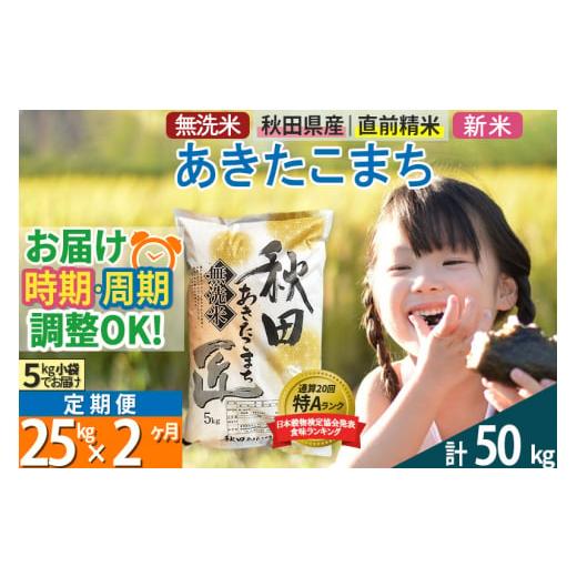 ふるさと納税 秋田県 仙北市 ＜新米＞《定期便2ヶ月》秋田県産 あきたこまち 25kg (5kg×5袋) ×2回 令和5年産 発送時期が選べる お米