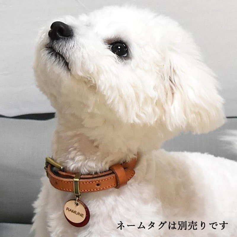 LOUIS VUITTON ドック•カラー小型犬用 【公式通販】