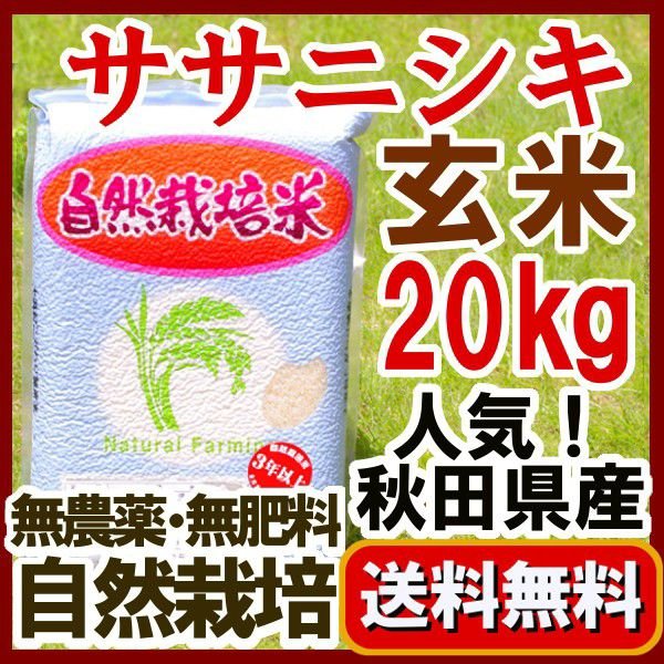 予約注文 新米『無農薬玄米 ササニシキ 20kg 』2023年産 真空パック 5kg×4　長期保存の備蓄米として 自家採種米 秋田県大潟村：石山農産