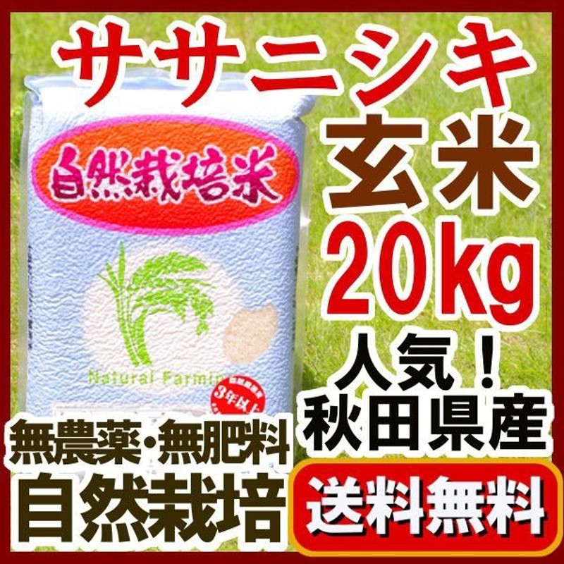 5kg×4　ササニシキ　長期保存の備蓄米として　予約注文　LINEショッピング　』2023年産　真空パック　新米『無農薬玄米　秋田県大潟村：石山農産　20kg　自家採種米