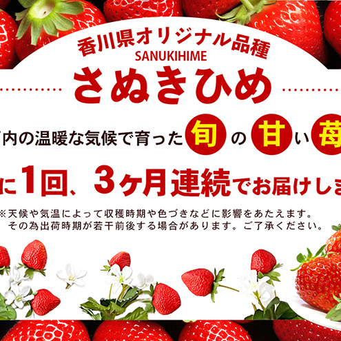 東かがわ市真っ赤な「いちご」の定期便（B）