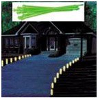 金德恩 GS MALL 台灣製造 一組10入  夜光棒圍籬 星星圍籬 夜光圍籬 夜光圍籬 籬笆 園藝 星星夜光園藝器具