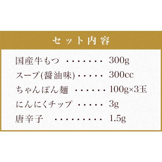 ふるさと納税 福岡県 太宰府市 国産 本場福岡で人気！ 博多 もつ鍋