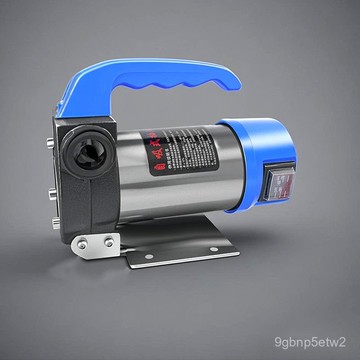 ⚡精選⚡ 抽油 抽水泵 電動油水兩用泵12v24v48V60V220v柴油泵抽油泵正反轉抽水泵自吸泵