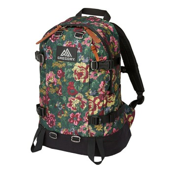 Gregory  美國 日系 22L ALL DAY V2 後背包 花園油彩  GG131367-0511