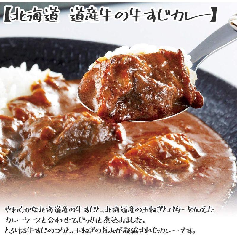 カレー レトルトカレー 北海道 道産牛の牛すじカレー 中辛 5箱 セット 北の料理人 斉藤正美監修 北国からの贈り物