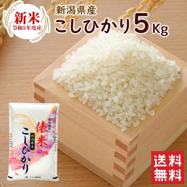 新米 新潟県産 コシヒカリ 5kg（5kg×1袋） 送料無料  令和5年度産 新潟県産 精米 米 お米 5kg（北海道・沖縄別途送料）（配達日・時間指定は不可）