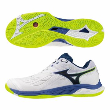 MIZUNO 美津濃 羽球鞋 男鞋 運動鞋 緩震 3E寬楦 白藍黃 71GA231351