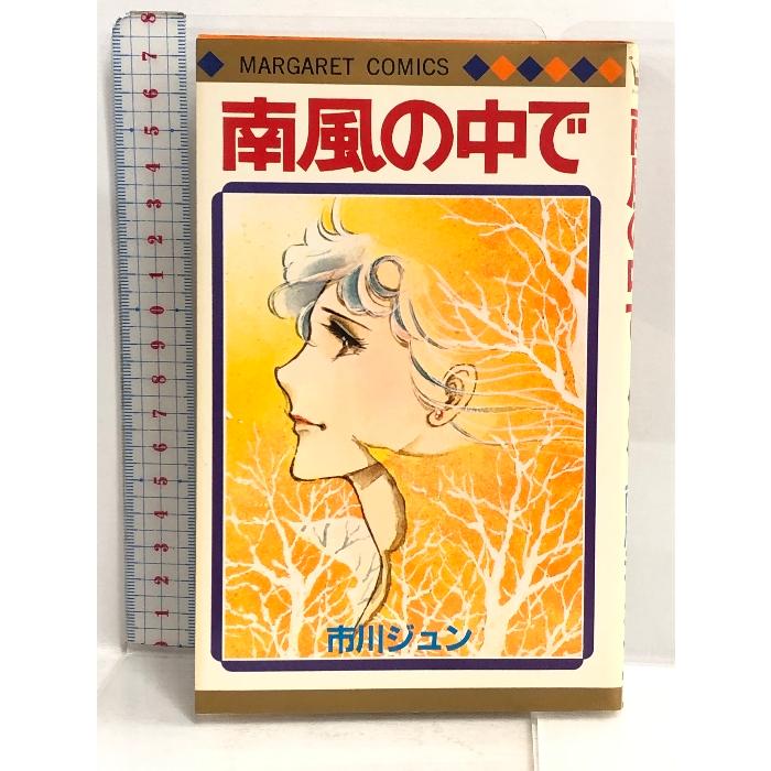 南風の中で (マーガレットコミックス) 集英社 市川 ジュン