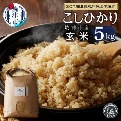 ふるさと納税 焼津市 令和5年産新米 30年間無農薬・無肥料のお米(玄米)コシヒカリ5kg(a21-038)