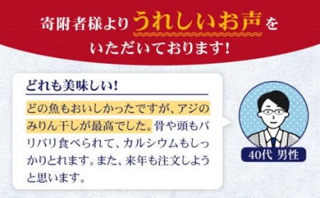 旬の海産物セットA     干物 ひもの みりん干し アジ イワシ サンマ 詰め合わせ 定期便 [JCY011] 108000 108000円