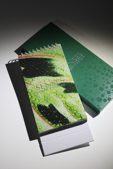 2024年萬綠叢中座檯月曆