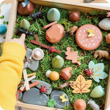 美國 Tender Leaf - 秘密森林藏寶盒