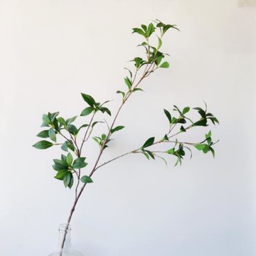 馬醉木北歐風仿真森系植物簡約家居客廳裝飾盆栽落地綠植櫥窗擺設