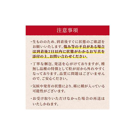 ふるさと納税 ≪先行予約≫ご家庭用 2024年 山形県 高畠町産 シャインマスカット 粒詰合せ 800g以上(400g×2) 2024年9月下旬.. 山形県高畠町