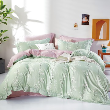 FOCA 吸濕排汗天絲床包枕套2件組 單人  恬語綠  1組