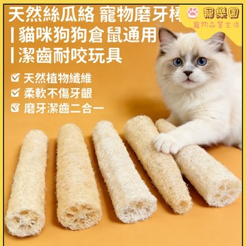 【臺灣熱銷】小貓玩具 絲瓜絡玩具 寵物玩具 貓咪磨牙玩具 磨牙健齒 狗狗自嗨解悶神器 人寵互動玩具 貓咪解壓玩具 耐啃咬