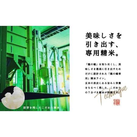 ふるさと納税 新米2kg×2 飛騨産・龍の瞳（いのちの壱）株式会社龍の瞳直送 米 令和5年産 精米 贈り物 高級 ギフト りゅうの.. 岐阜県下呂市