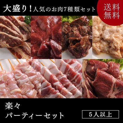 送料無料 焼肉 バーベキュー楽々パーティーセット