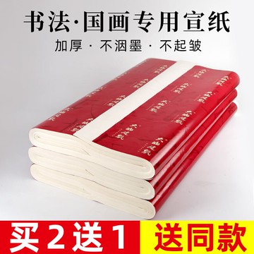 大山皮紙加厚宣紙國畫生宣作品紙書法專用紙半生半熟初學者毛筆字練習紙四尺六尺八尺山水花鳥人物寫意創作紙