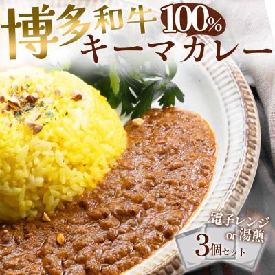 ふるさと納税 大川市 100%博多和牛のキーマカレー (180g×3パック)(大川市)