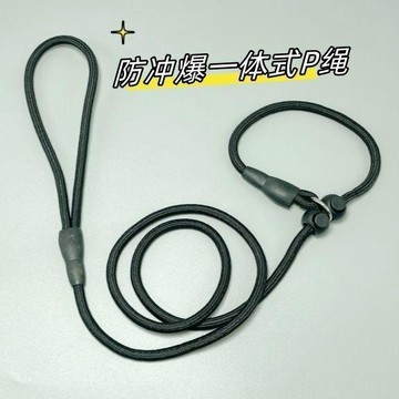 臺灣出貨🔥【爆款】訓犬狗狗一體式牽引繩防爆P繩小中型犬狗鏈遛狗訓犬P鏈
