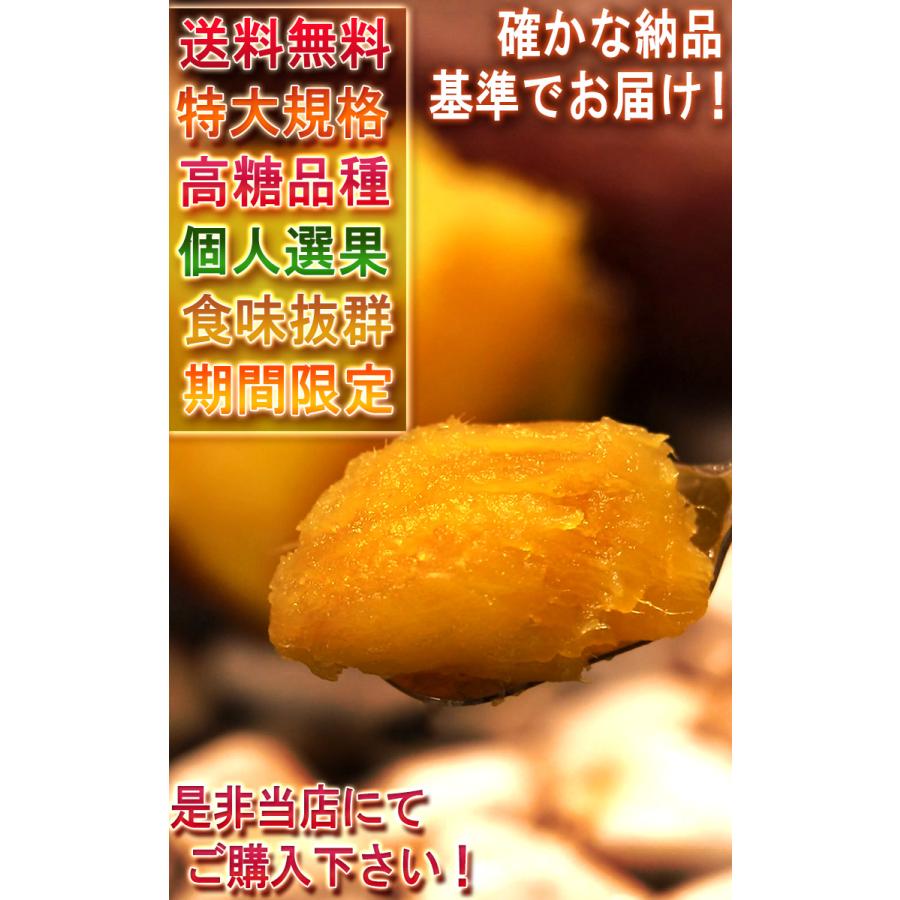 シルクスイート 特大さつまいも 約10kg L〜3Lサイズ 千葉県・茨城県産 お得用 家庭用限定 産地箱入り 滑らかな食感と溢れんばかりの甘さ！