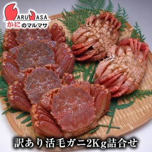 かにのマルマサ お取り寄せ ギフト 毛ガニ毛蟹 堅蟹 カニ通販 海産物