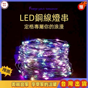 優選🏆電池盒燈 防水LED燈 彩燈燈串 線串燈 串燈 造型燈  防水銅線燈 鈕扣電池燈 led燈 酒瓶燈