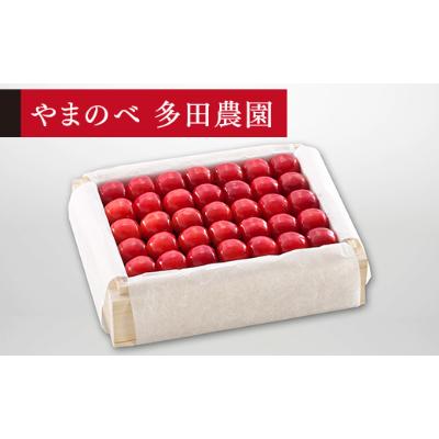 ふるさと納税 山形県 桐箱詰 約500g