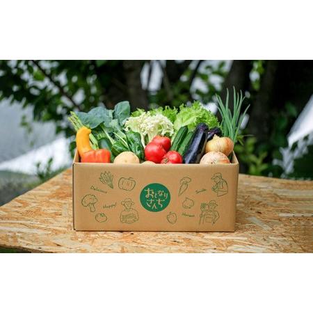 ふるさと納税 おとなりさんち厳選！浜松から鮮度抜群！旬の野菜BOX 静岡県浜松市