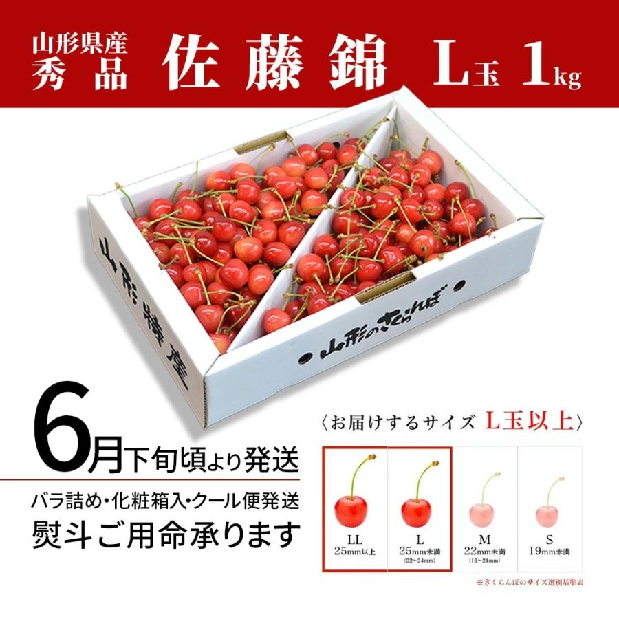 さくらんぼ 佐藤錦 1kg バラ詰め 山形 秀品 山形県産 サクランボ 送料無料 贈答用 取り寄せ 化粧箱入 ギフト