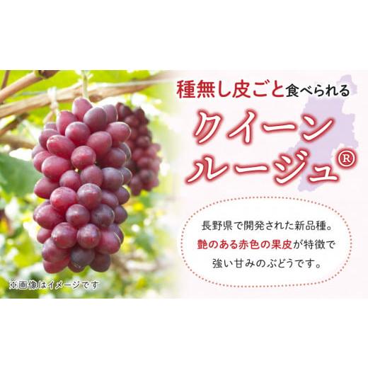 ふるさと納税 長野県 東御市 東御市産クイーンルージュ??＆シャインマスカットのセット ※9月中旬〜10月中旬頃発送