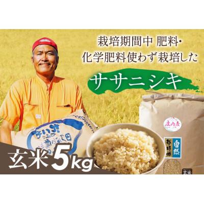 ふるさと納税 山形県 山形県庄内産 栽培期間中肥料・化学肥料不使用で栽培した ササニシキ玄米5kg