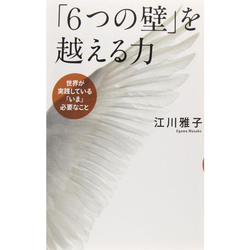 世界が実践している「いま」必要な思考法 「6つの壁」を越える力 (自己啓発)