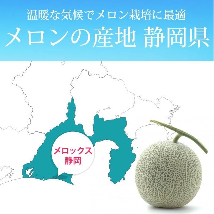 メロン 静岡県産 アローマメロン 約2.6kg以上（約1.3kg以上×2玉） プレミアムフルーツセレクション