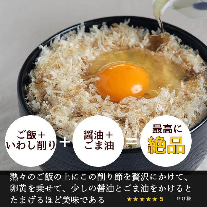 カネジョウ いわし削り 45g×1袋 無添加 食塩不使用 国産 お試し