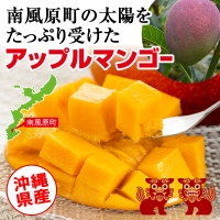 生産組合が育てる南風原の味　神里マンゴー1kg