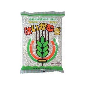 日本精麦 はいがむぎ 700g　12個