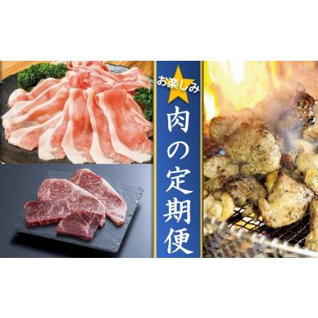 ふるさと納税 JA-04 お楽しみ肉の定期便 年3回 大分県豊後高田市