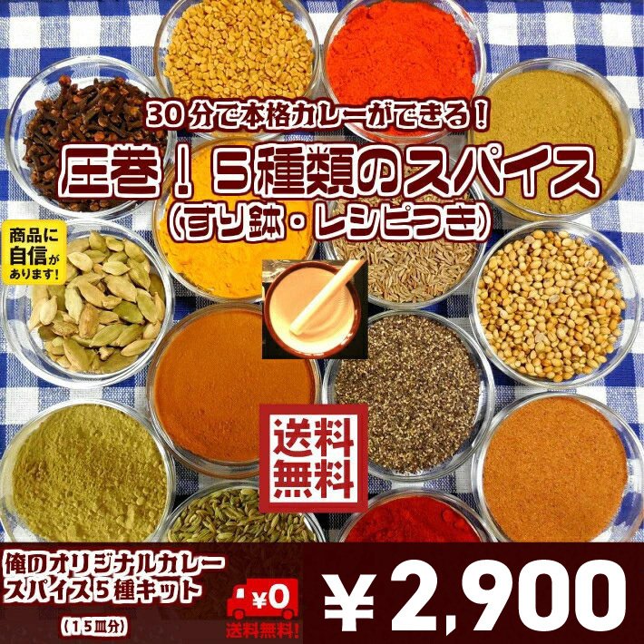 カレー　スパイス　お得　セット　5種　詰合せ（15皿分）　俺のカレー