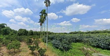 斗六重光12米路一般農業區農地｜雲林縣斗六市重光東段