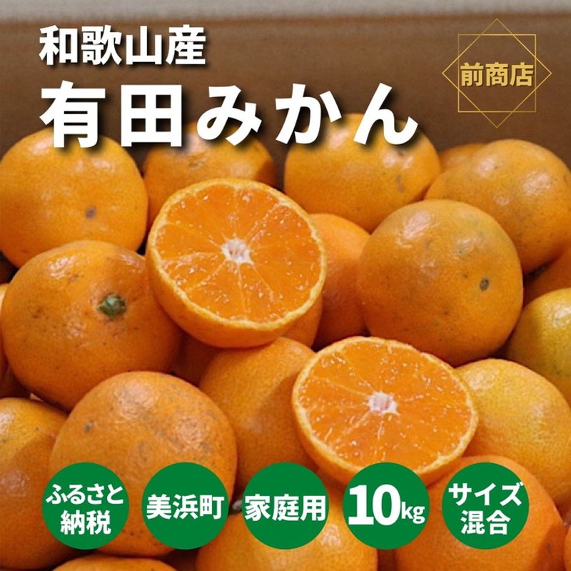 訳ありセール ふるさと納税 12月より発送 ご家庭用完熟有田みかん10kg ※2022年12月上旬頃〜12月下旬頃に順次発送予定 和歌山県広川町  legiaomacatuba.org.br