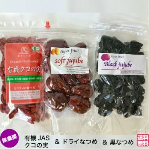 ＜送料無料＞クコの実 ORGANIC GOJIBERRY 85ｇ   無農薬 極上ドライなつめSOFT JUJUBE 120g （農薬・化学肥料不使用・無添加