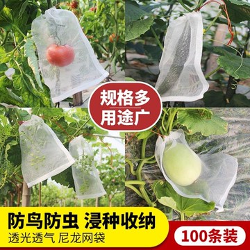 果實套袋 葡萄火龍果防蟲防鳥尼龍網袋浸種育種袋水果紗網袋子套袋收納袋子 快速出貨