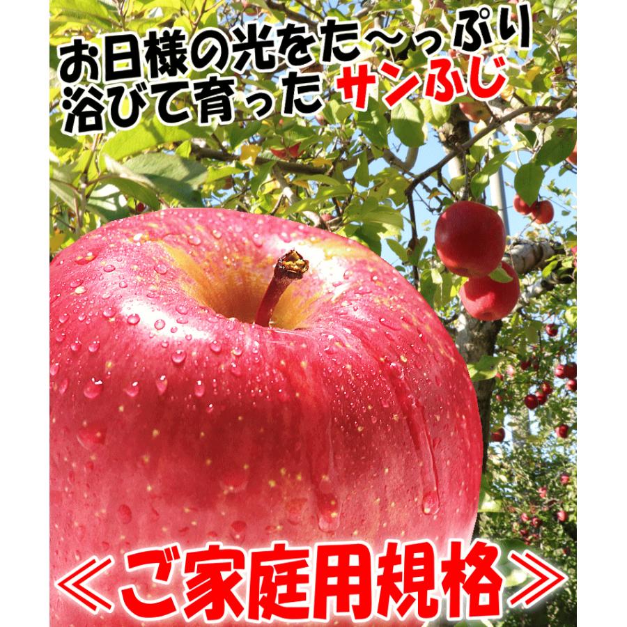 あすつく 青森 りんご 3kg箱 サンふじ 家庭用 送料無料 リンゴ 訳あり 3キロ 箱 旬シリーズ★サンふじ 家 3kg箱