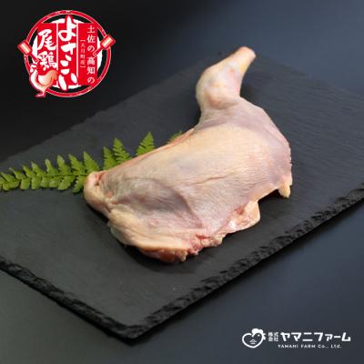 ふるさと納税 大月町 よさこい尾鶏 もも・むね肉・骨付きもも