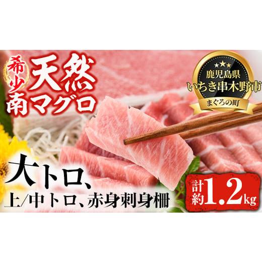 ふるさと納税 鹿児島県 いちき串木野市 E-074 希少！天然南まぐろ極上セット　大トロ〜赤身　約1.2kg