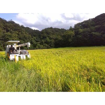 ふるさと納税  島根県 江津市産 邑智郡産 きぬむすめ 10kg×12回令和5年産 新米 白米 島根県江津市