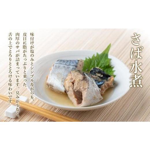 ふるさと納税 千葉県 銚子市 国産鯖水煮・味噌煮12缶セット